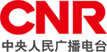 1对1定制学习方案